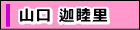 Rޖr