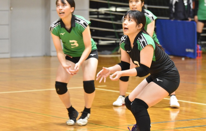 ���{���엢