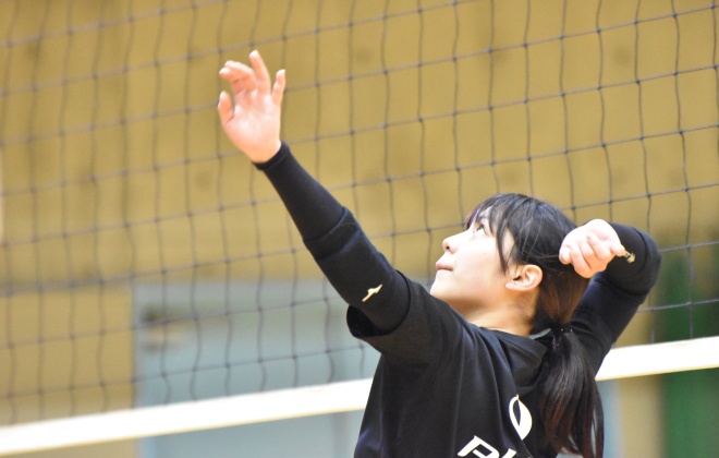 ���{���엢