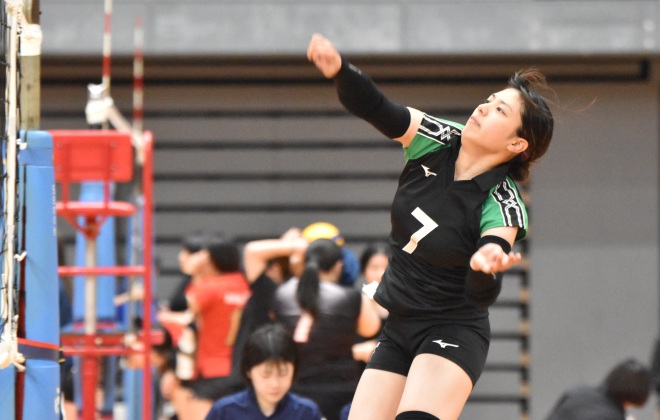 ���{���엢