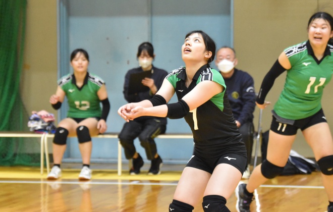 ���{���엢